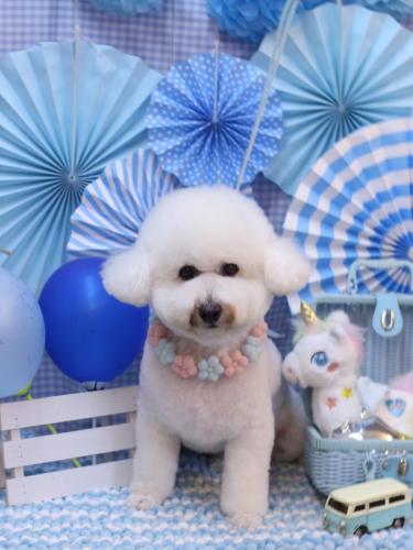 20231111ププくん